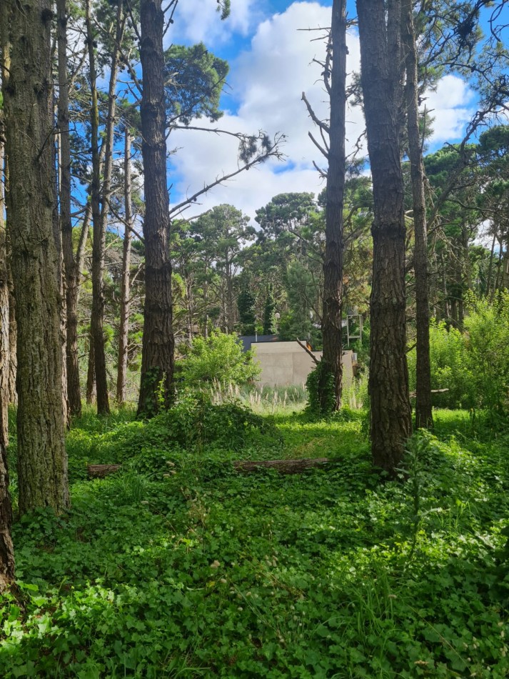 TERRENO EN MAR AZUL